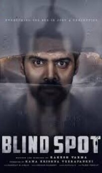 Blind Spot (2025) Hindi ORG Dual Audio UNCUT HD Rip